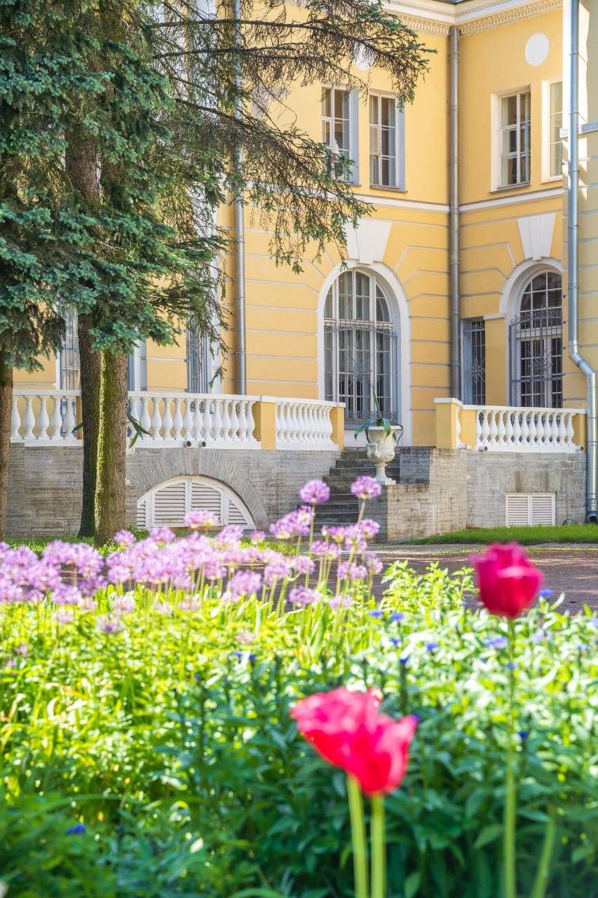 Гостиницы Пушкина в центре | Отели Центрального района с ценами на карте