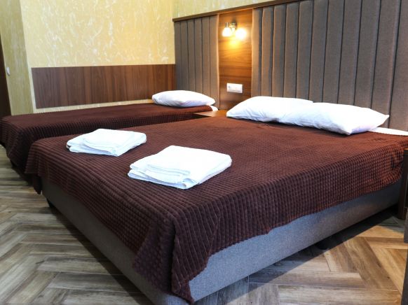 Фотография номера гостиницы Омега плюс