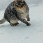 гости