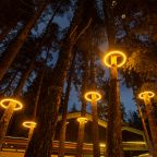 Романтика под звездным небом