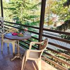 Двухкомнатный Пятиместный Семейный номер