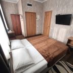 Двухместный (Стандарт с двуспальной кроватью), Отель Викинг