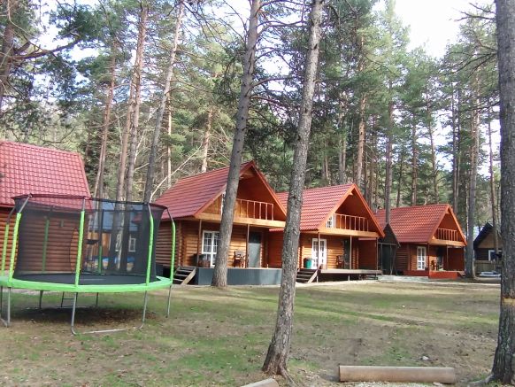 Отель Forest эко
