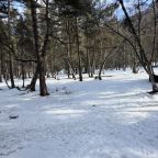 Двухместный (Стандарт плюс), Отель Forest эко