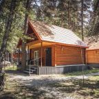 Коттедж (Комфорт), Отель Forest эко