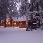 Коттедж (Комфорт), Отель Forest эко