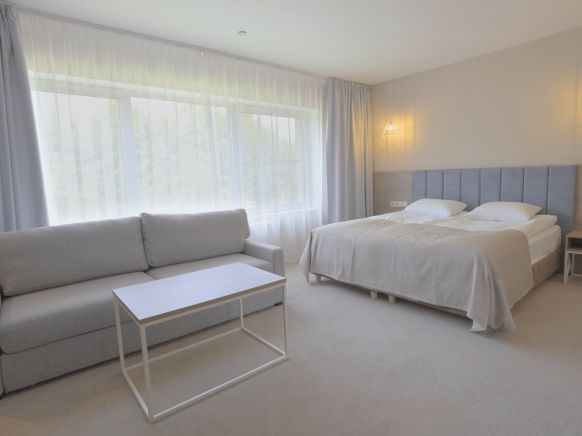 Фотография номера гостиницы Парк-Отель Басовское