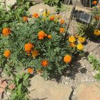 Детский батут, Гостевой дом На Прямой