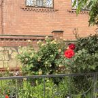 Детский батут, Гостевой дом На Прямой