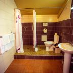 Двухместный (Стандарт), Гостиница Саврасовская