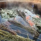Шале (Панорамное с горячей купелью на 4 человека), Загородный отель Шале у воды