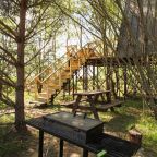 Шале (ДОМ №12 ВЫСОТНЫЙ ДОМ А-ФРЕЙМ), Глэмпинг На краю земли