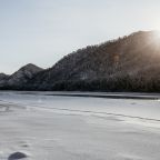 Вид на реку, Чепош парк Отель Алтай