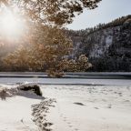 Вид на реку, Чепош парк Отель Алтай