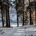 Вид на реку, Чепош парк Отель Алтай