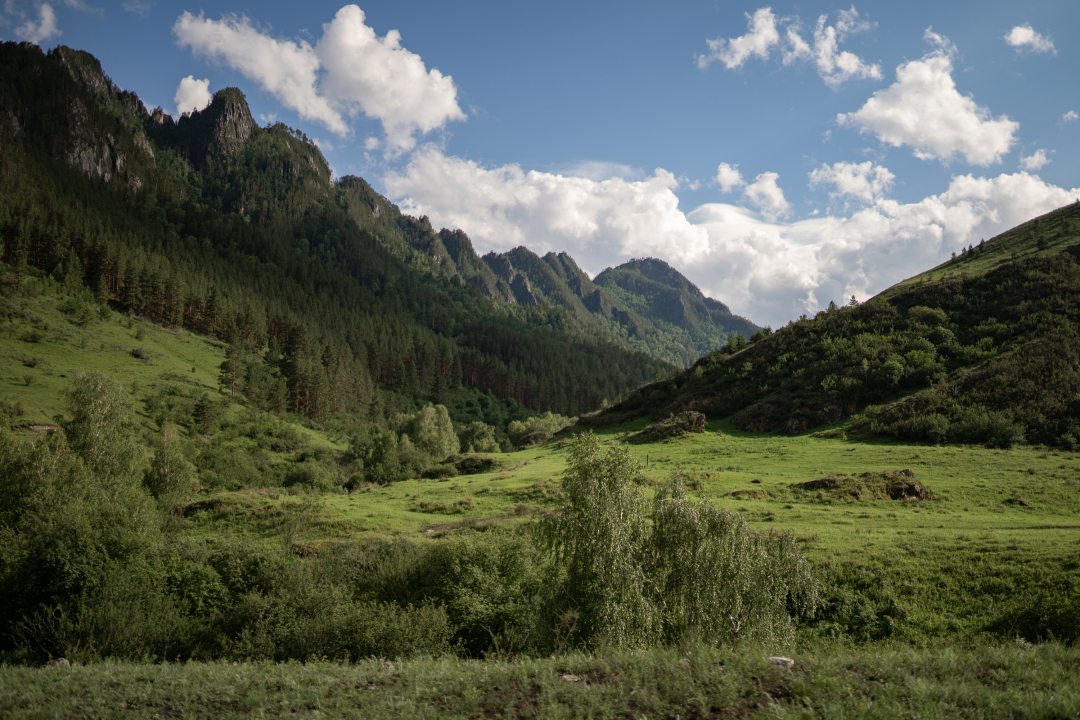 Чепош парк Алтай зима