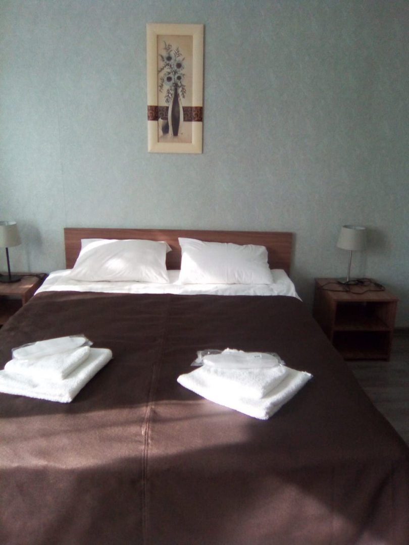 Двухместный (Двухместный стандарт с 1 кроватью) мини-отеля Базилик, Щигры