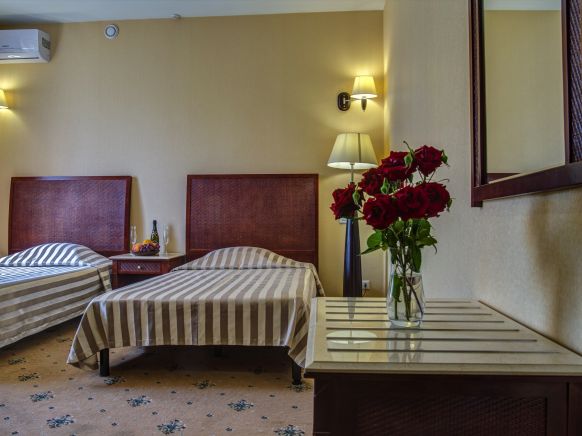 Фотография номера гостиницы Мечта Тея