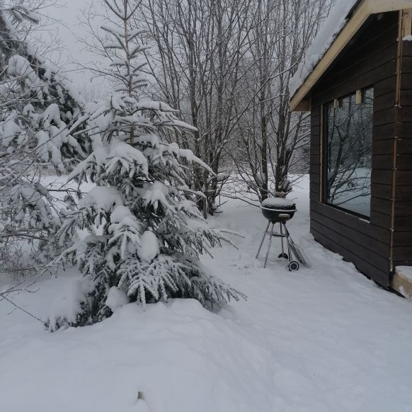 База отдыха Папоротник