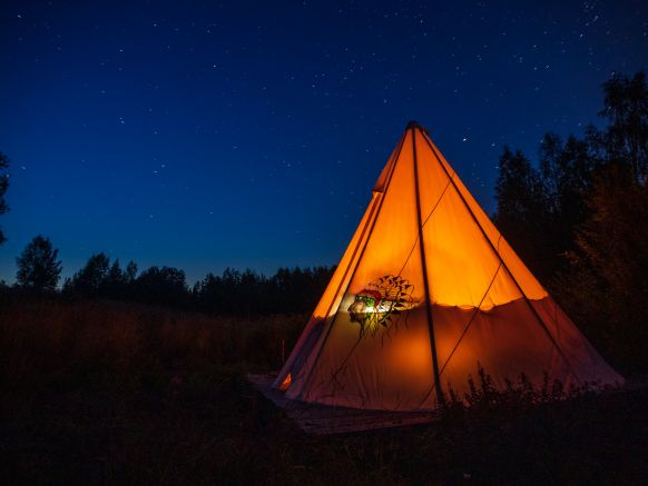 Фотография номера кемпинга Папоротник