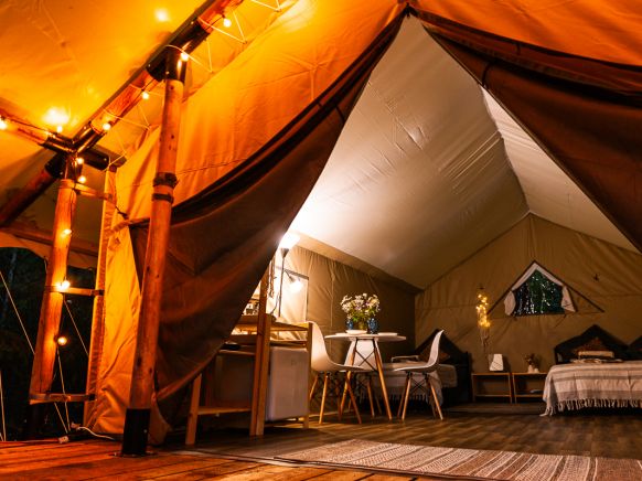 Фотография номера кемпинга Папоротник