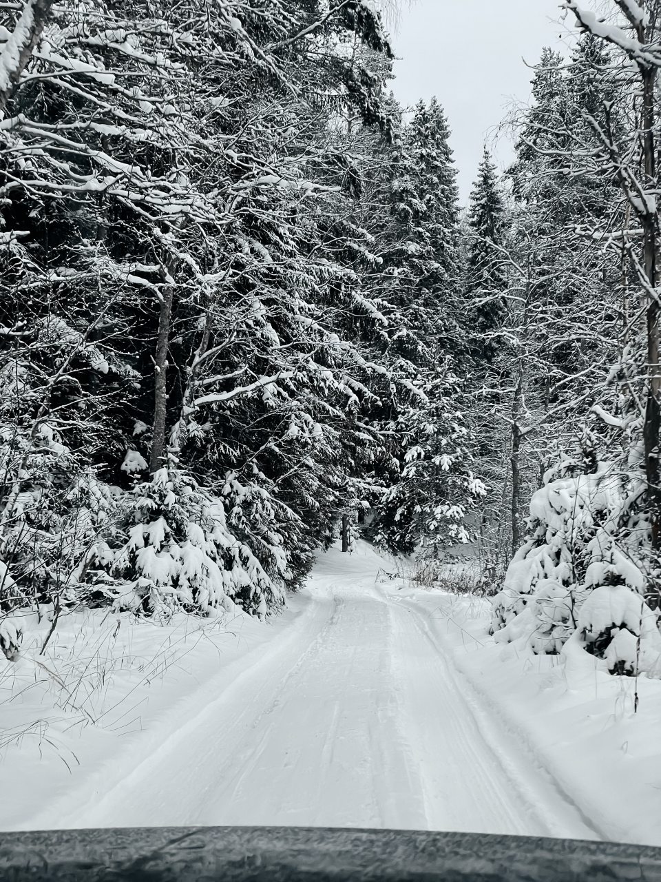 Апартаменты (Барн Хауз Фрилуфтслив БИГТРЭВЛ), База отдыха Папоротник