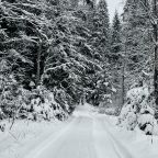 Апартаменты (Барн Хауз Фрилуфтслив БИГТРЭВЛ), База отдыха Папоротник