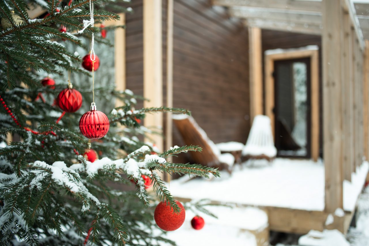 Трехместный (Барн Хауз Фрилуфтслив), База отдыха Папоротник