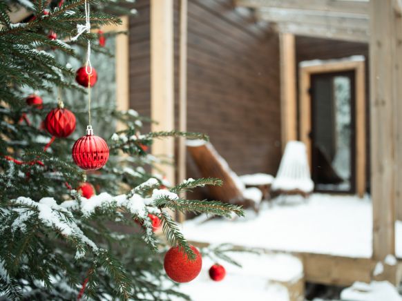 Фотография номера кемпинга Папоротник