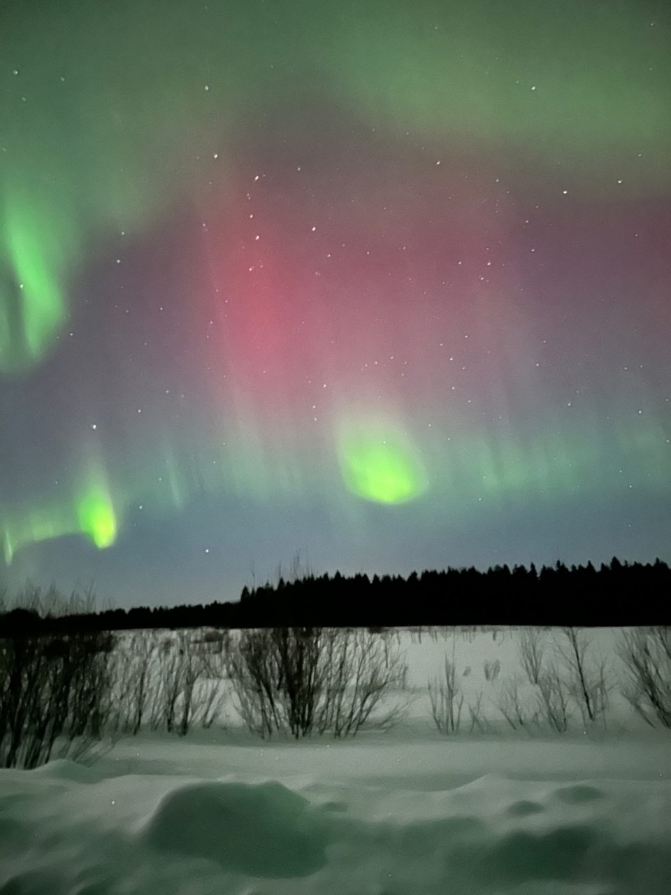 Бунгало (Хюгге, Мини), База отдыха Папоротник