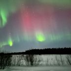 Бунгало (Хюгге, Мини), База отдыха Папоротник