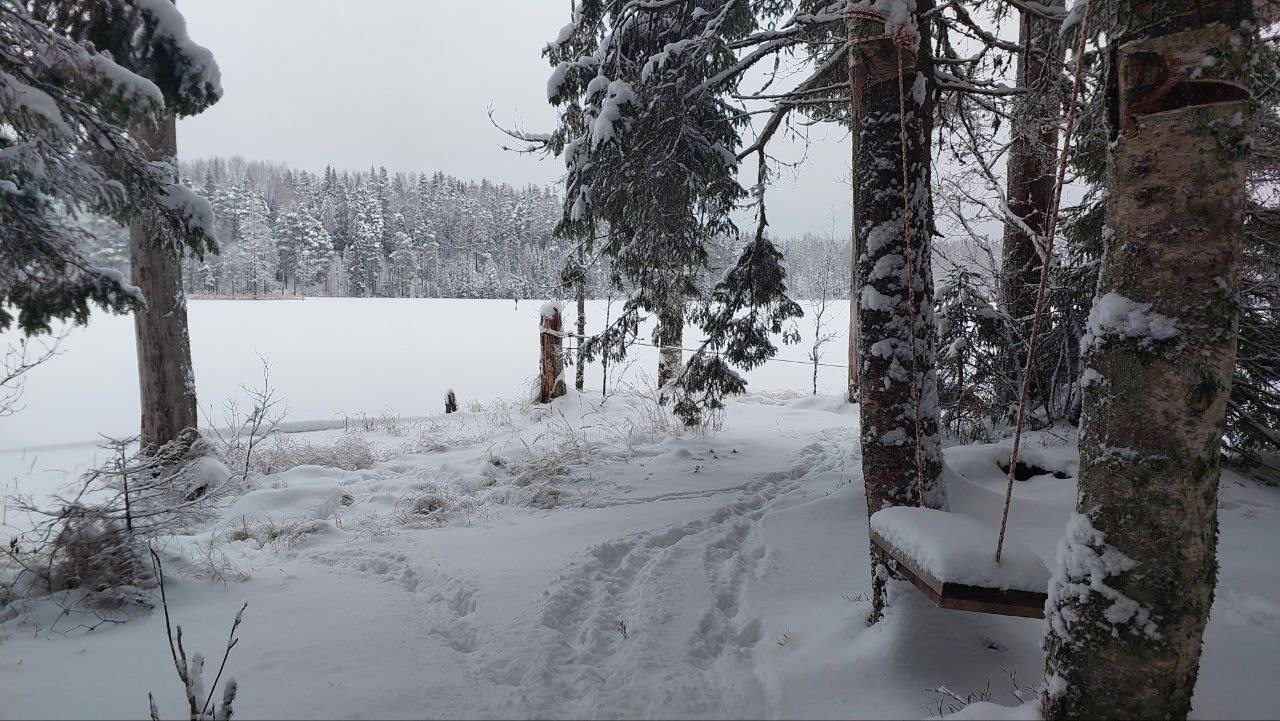 Бунгало (Хюгге, Стандарт), База отдыха Папоротник