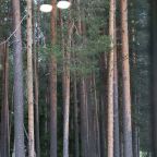 Номер (Дуплекс), База отдыха Заветное