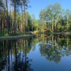 Летняя рыбалка, База отдыха Sherwood Park Hotel