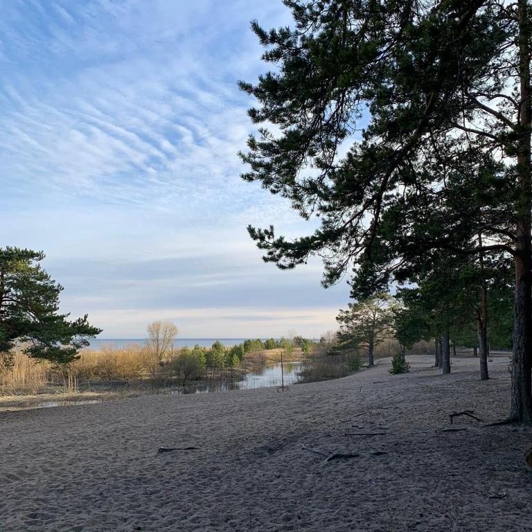 Песчаный пляж, Элитная дача у Финского залива