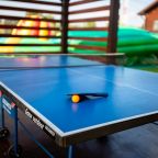 Настольный теннис, Загородный дом С русской баней