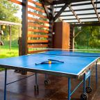 Настольный теннис, Загородный дом С русской баней
