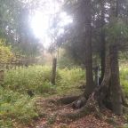 Пешие прогулки, Загородный дом С русской баней