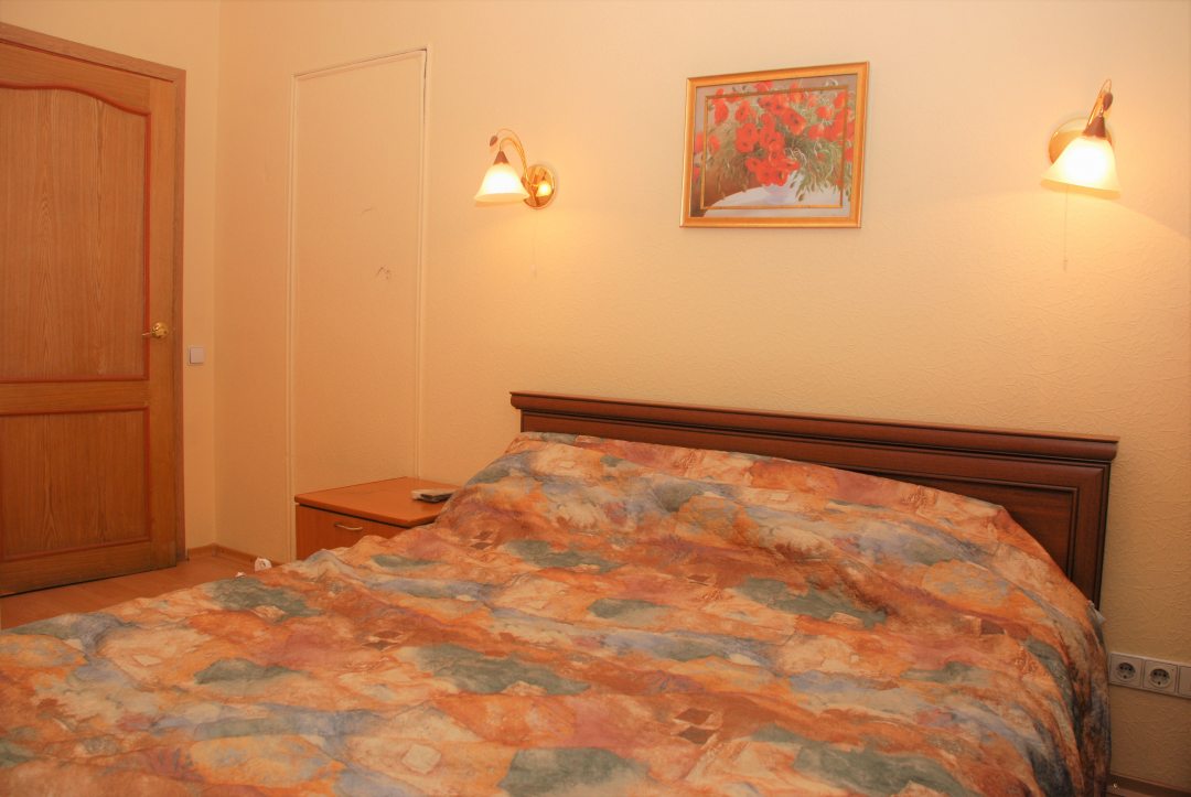Двухместный (Стандартный номер с кроватью размера «king-size») мини-отеля Толстовский дом, Санкт-Петербург