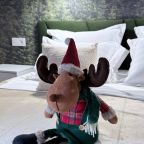 Двухместный (Горный приют для души), Отель Нарния