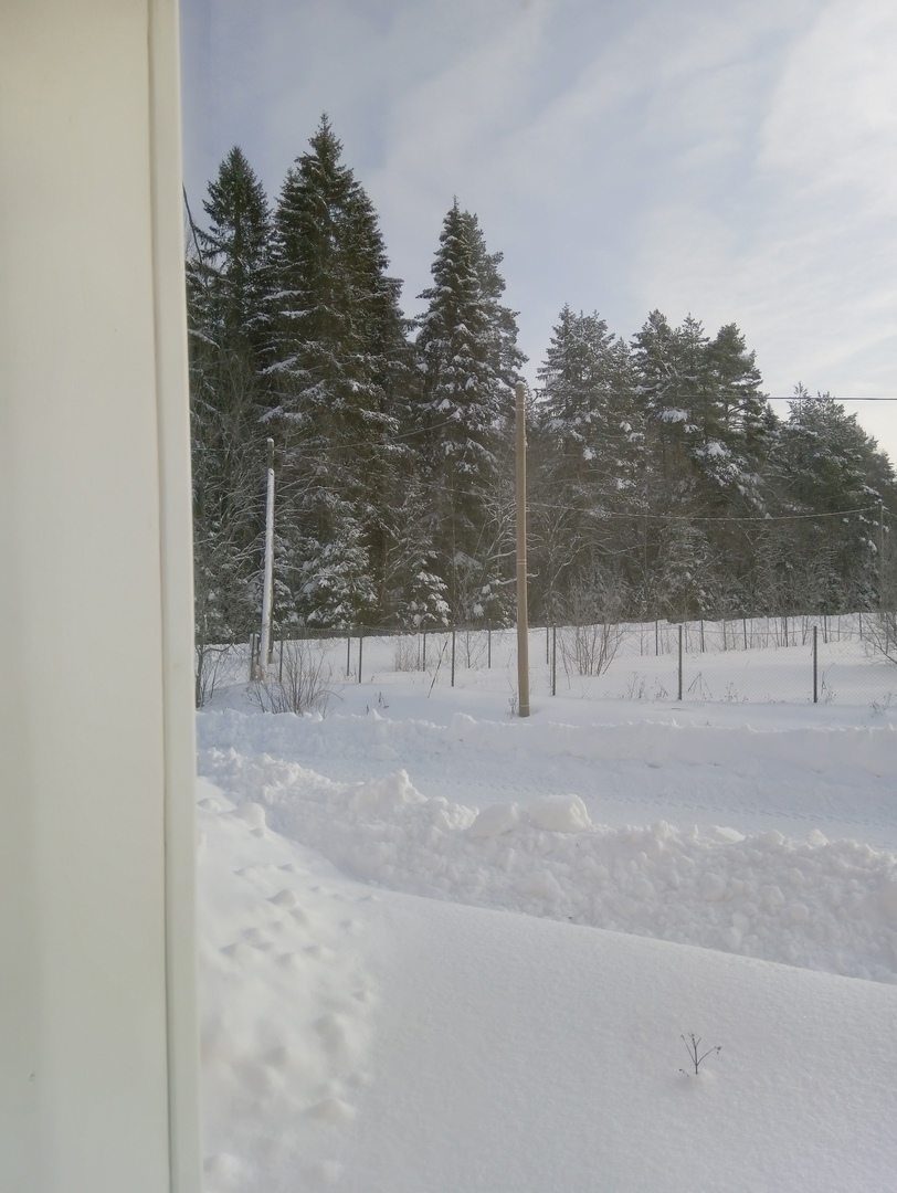 Зимним солнечным днем, вид из окна кухни-гостиной на 1 этаже