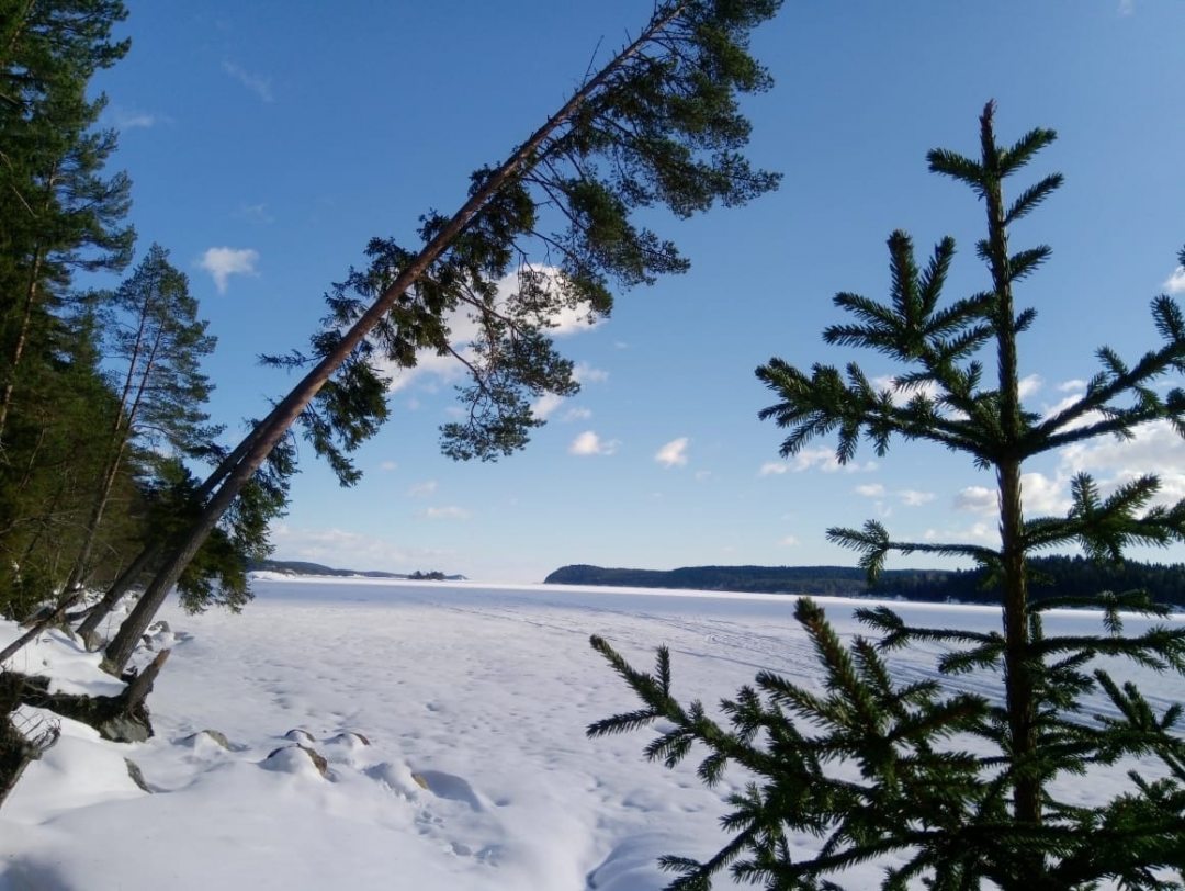 Ладожское озеро и пляж, около 400м от дома по хорошей дороге