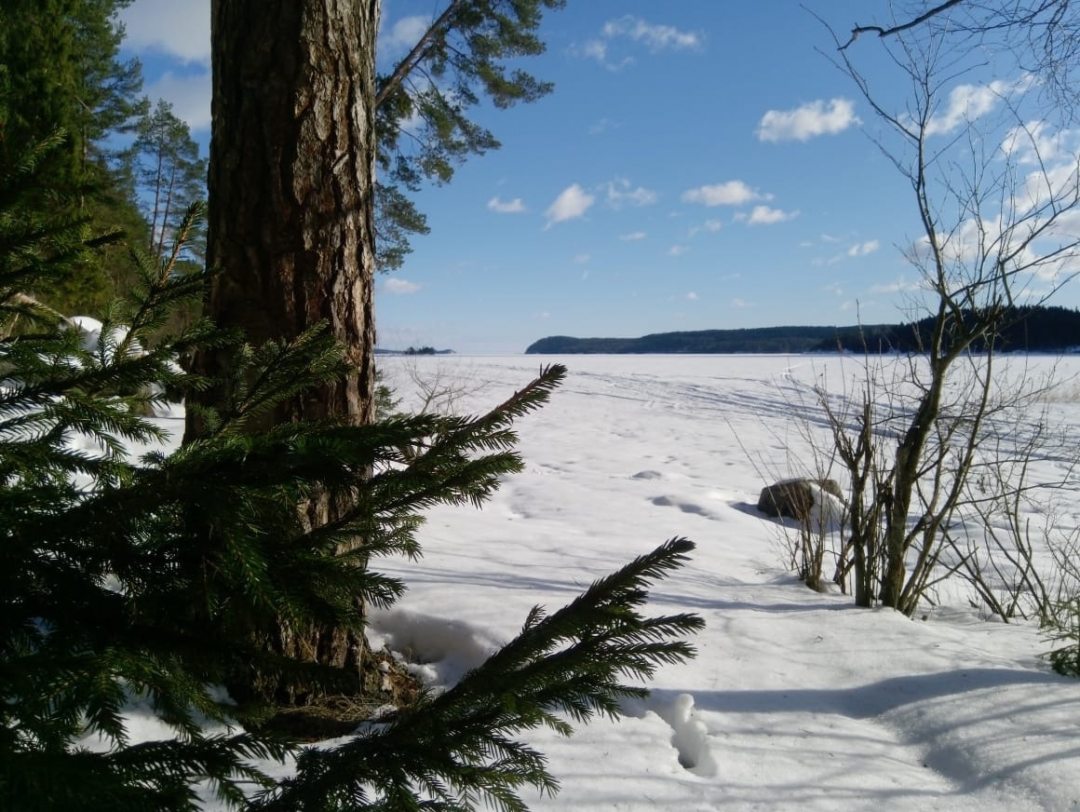 Ладожское озеро, в 400м от дома по хорошей дороге