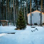 Объект находится в лесу, Загородный клуб ЛЕС