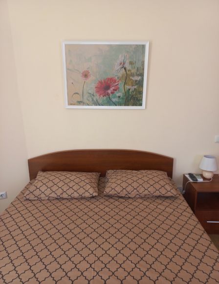 Фотография номера гостиницы Омега 4