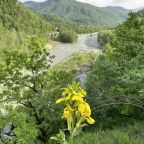 Панорамный вид, Гостевой дом На Набережной