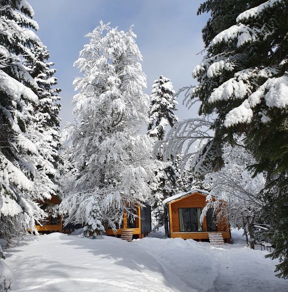 База отдыха Сияние Family club