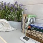 Книги и пульт от сплит-системы спальни «Прованс»