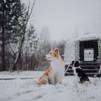 Допускается размещение домашних животных, Зона отдыха Язёвка