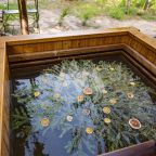 Горячая купель, Загородный отель Berloga Country Resort